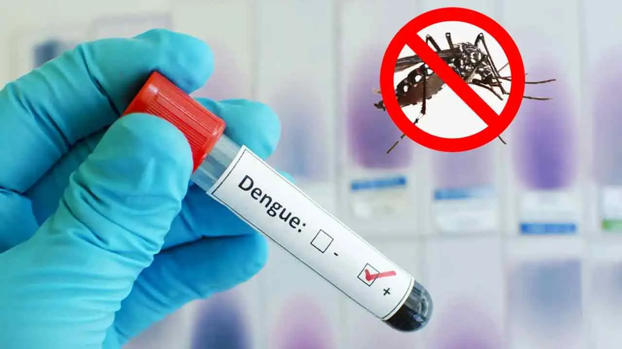 ডেঙ্গুতে একদিনে ৫ জনের মৃত্যু, হাসপাতালে ৮৩৯